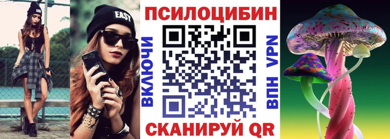 Псилоцибиновые грибы мицелий  нарко площадка официальный сайт  Новое Девяткино 